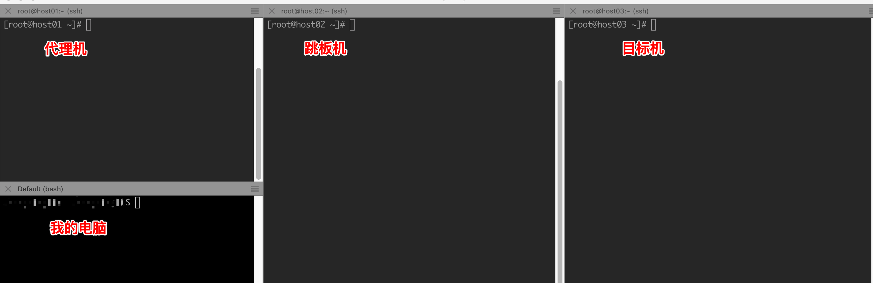 image-20211230152543350