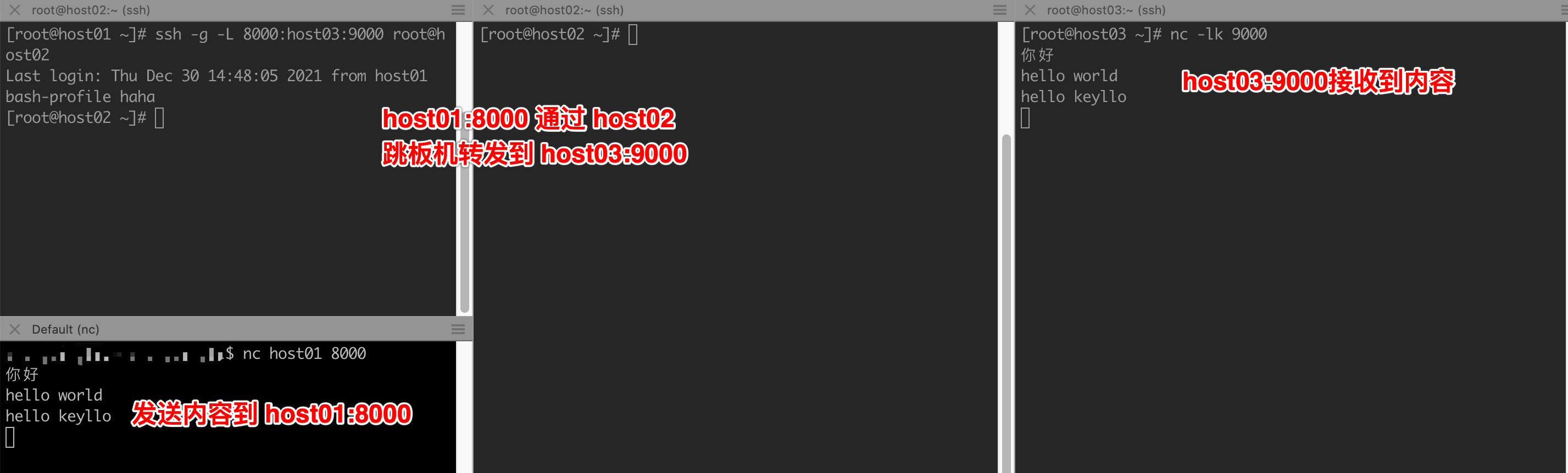 image-20211230153440332