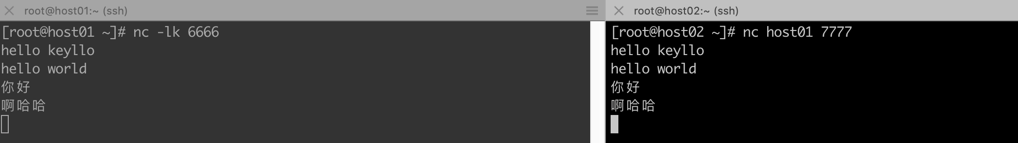 image-20211230195521705