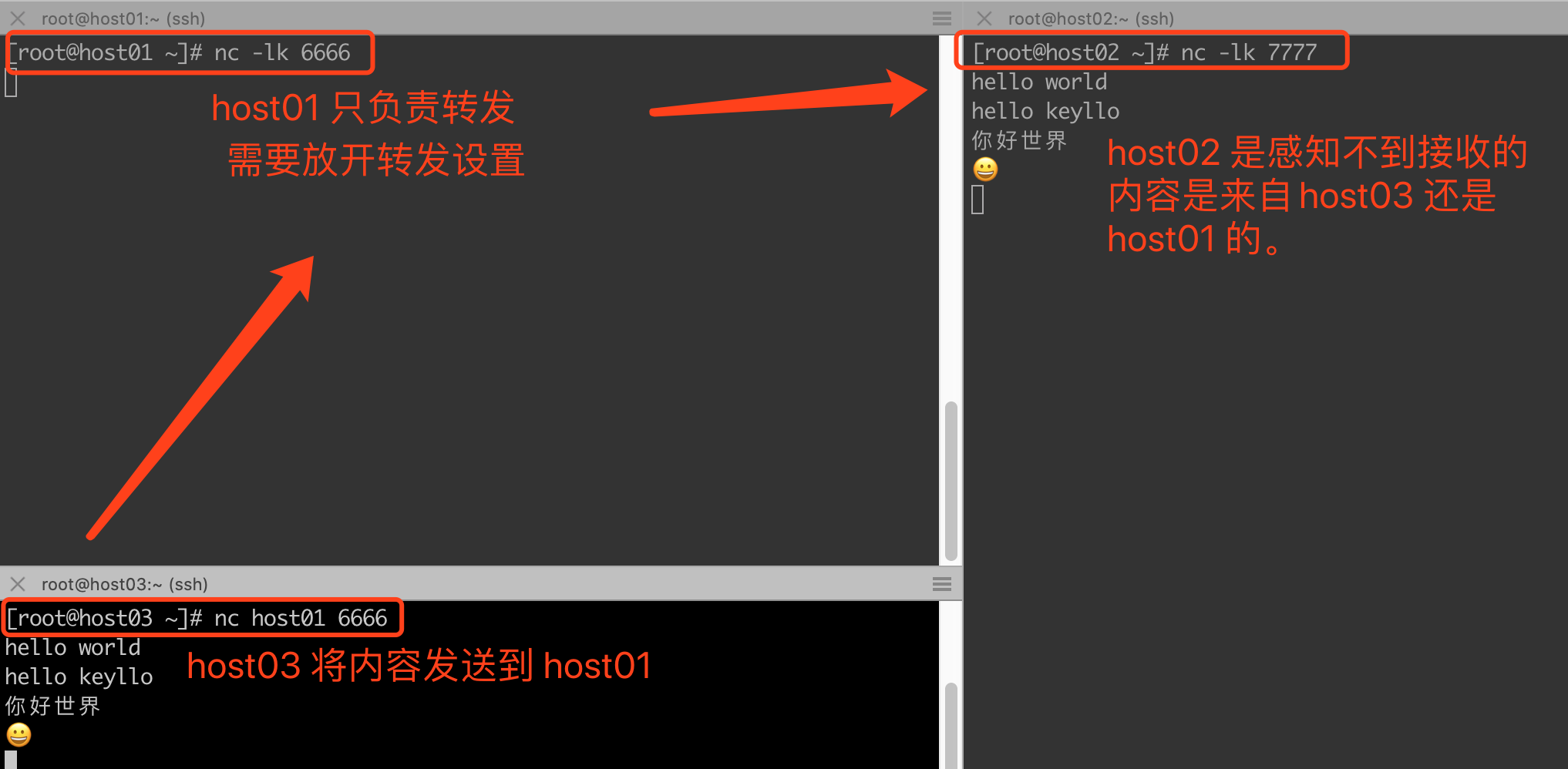 image-20211230204543294